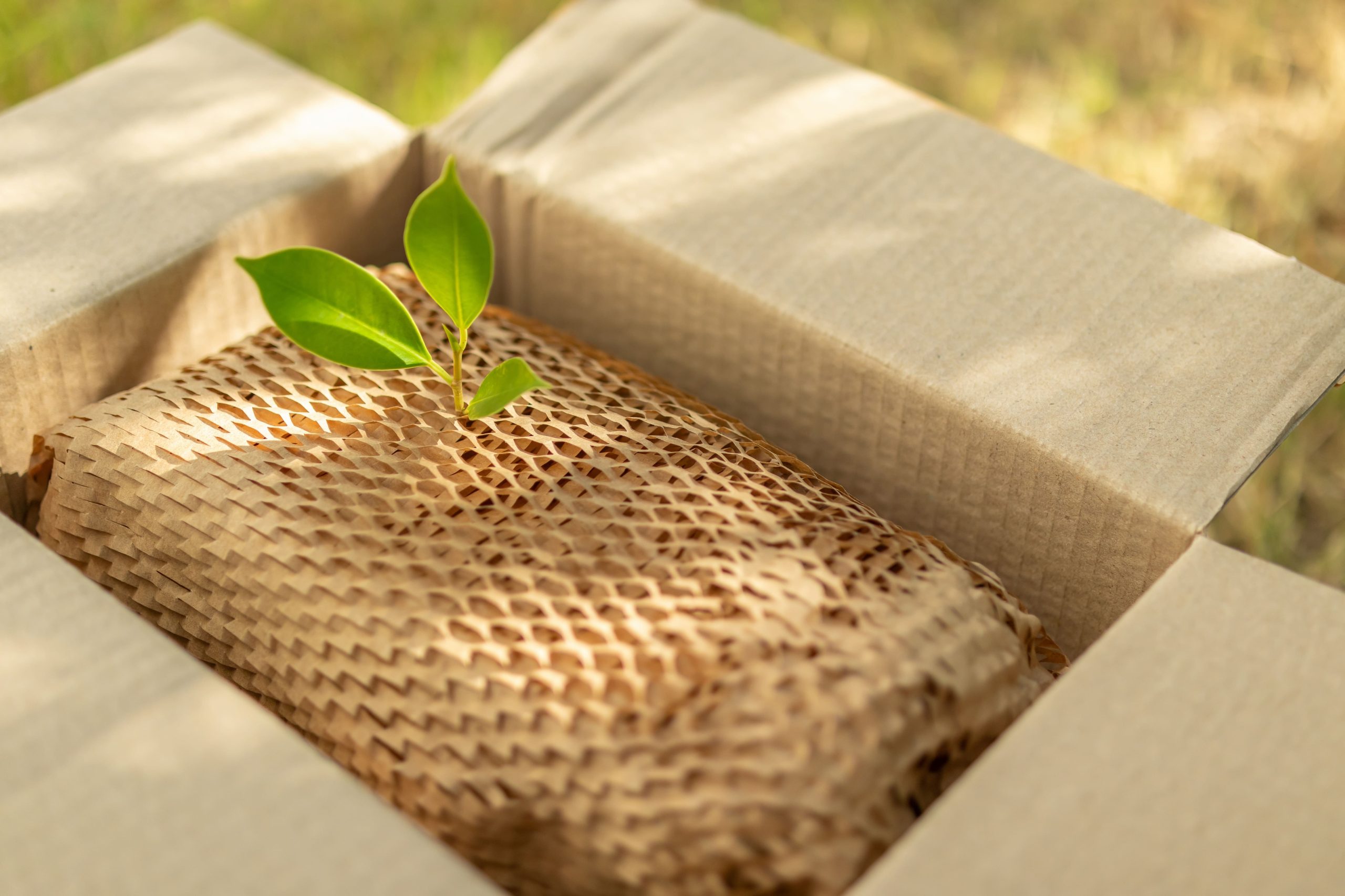 Packaging Sustainability